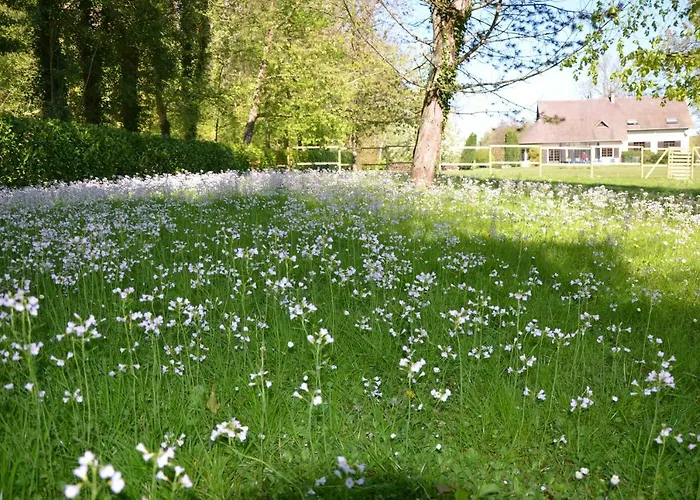 Le Domaine Des Terres Du Thil 3* Canehan